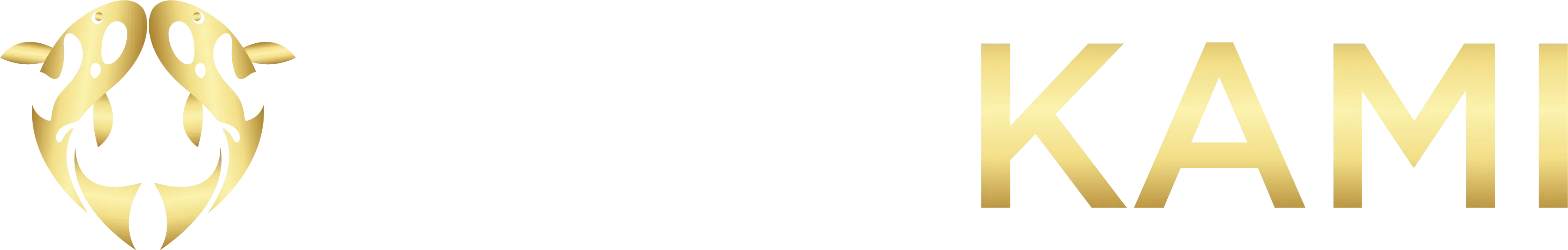 PlayKami Logo